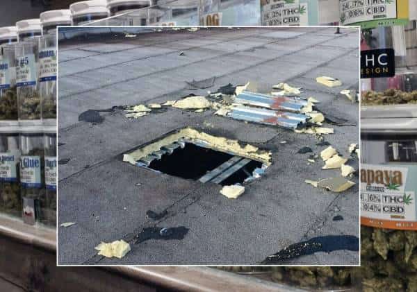 מצוד נרחב אחר כנופיית הפורצים שמרוקנת את חנויות המריחואנה בוואלי לוס אנג'לס