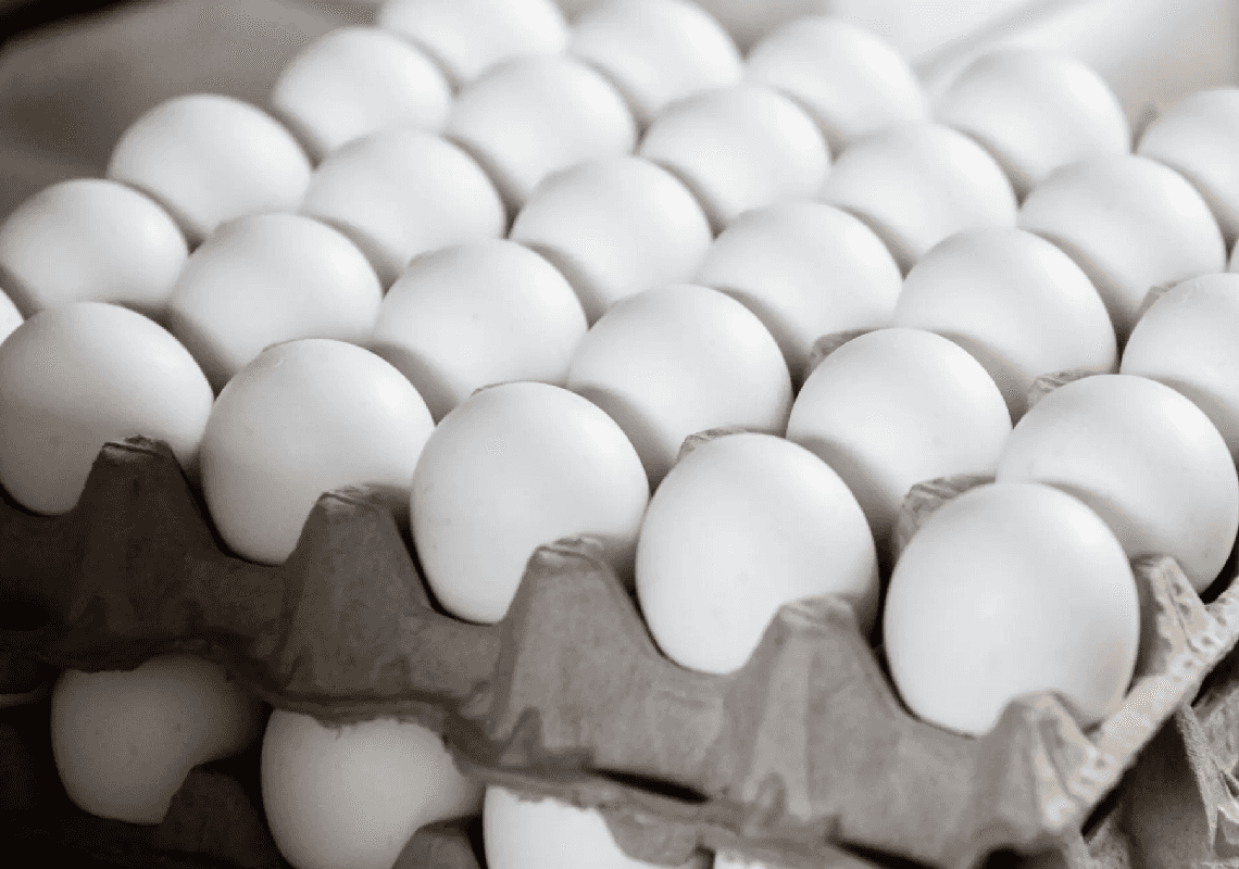 מאה אלף ביצים נגנבו ממפעל - בזמן שארה"ב במשבר אספקה חמור