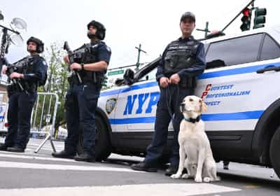 ממשל טראמפ נסוג מהקיצוצים ומחזיר לניו יורק מאות מיליוני דולרים שנועדו למאבק בטרור