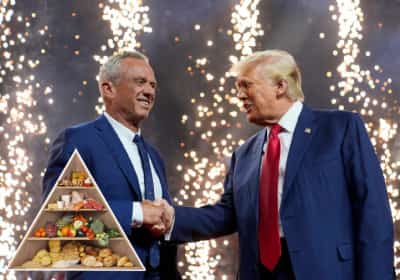 מהפך בפירמידת המזון: ממשל טראמפ משנה את כללי התזונה