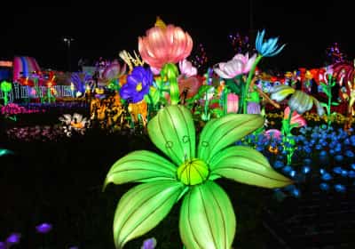 קסם תת-ימי בונטורה: פסטיבל אורות ענק בהשראת אטלנטיס האבודה ייפתח בעוד שבוע