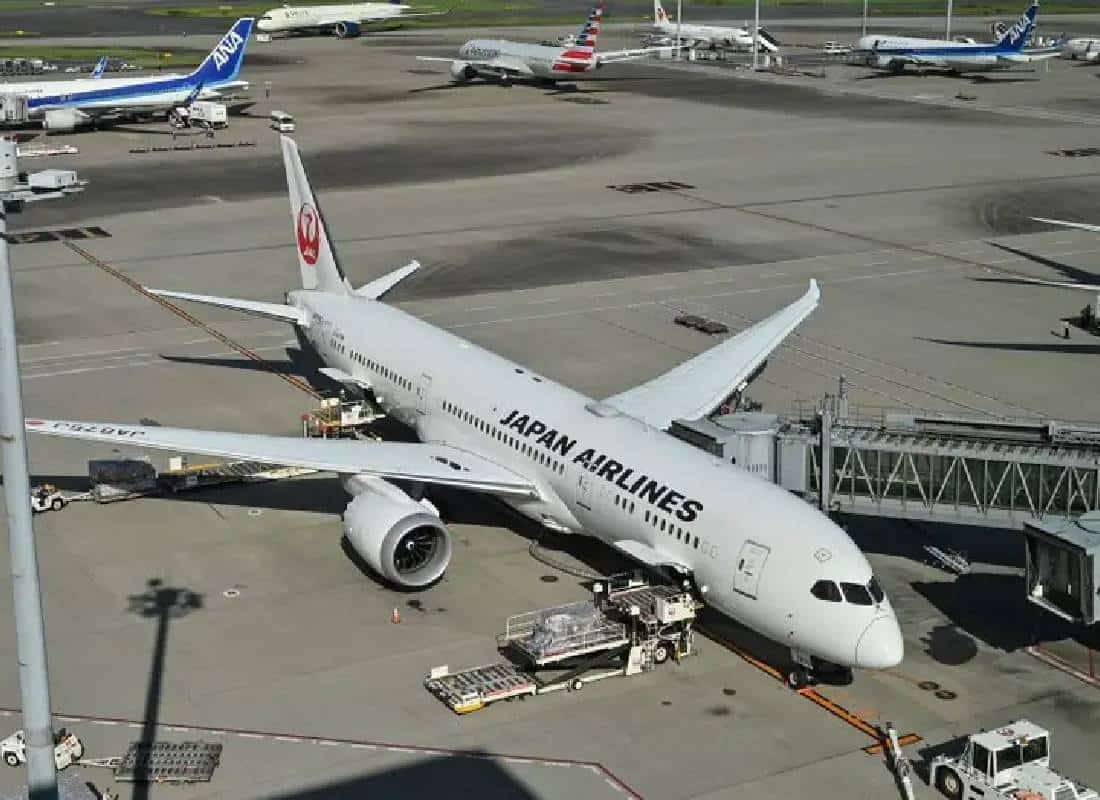 הצעה מפתה מחברת התעופה של יפן: טיסות פנים ארציות חינם