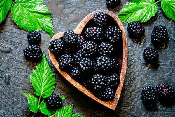  שטויות במיץ אוכמניות? אולי כדאי שתדעו כמה יתרונות בריאותיים יש בפרי היער השחור הזה  