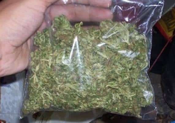 עיריית לוס אנג'לס: חג (מריחואנה) שמח לתושבים!