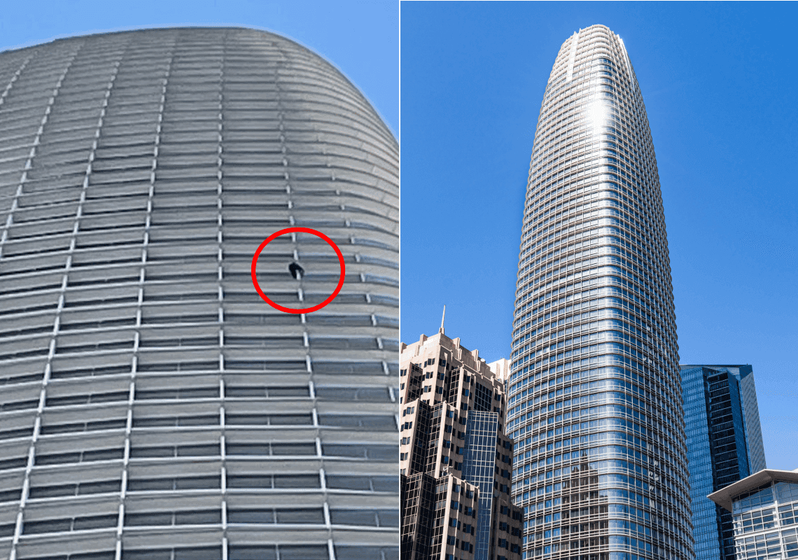 סן פרנסיסקו: אקטיביסט נעצר לאחר שטיפס על מגדל סיילספורס - ללא אמצעי בטיחות | תיעוד