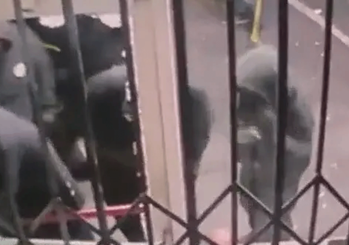 ליל פורענות ברחבי הוואלי בלוס אנג'לס: עסקים פרטיים נפרצו ונשדדו על ידי כנופיות רעולי פנים