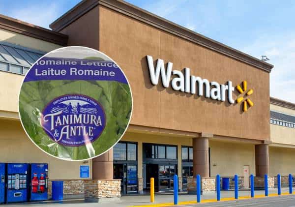 בעקבות החשש לחיידק האי-קולי: ריקול לחסה שנמכרה בוולמארט ברחבי ארה"ב