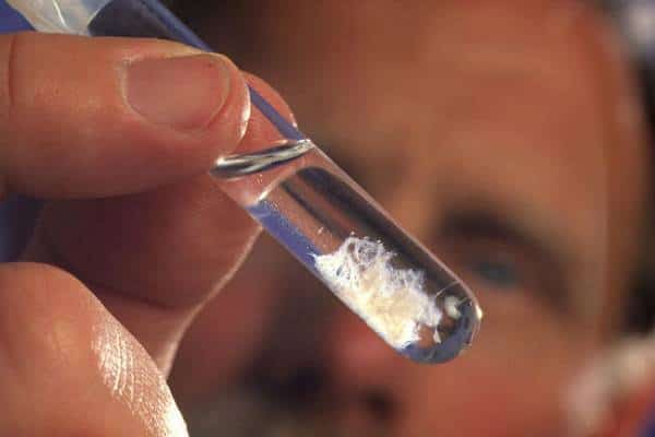 החיים בתוך מבחנה: מסתבר שה-DNA שלנו לא יפה במיוחד