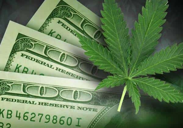 רואים ירוק בעיניים: האם מריחואנה יכולה להציל מדינות בארה"ב מקריסה כלכלית?