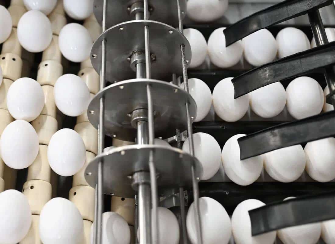 החברה שמרוויחה הון ממשבר הביצים הלאומי