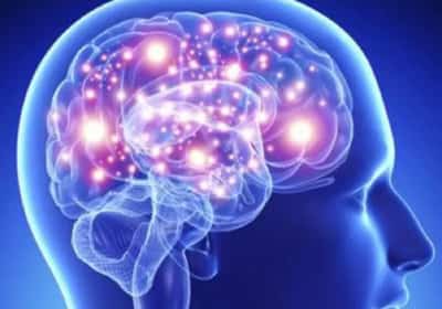 פריצת דרך במדעי המוח: מיליוני דולרים יוקצו לחקר "החוש השישי הנסתר" 