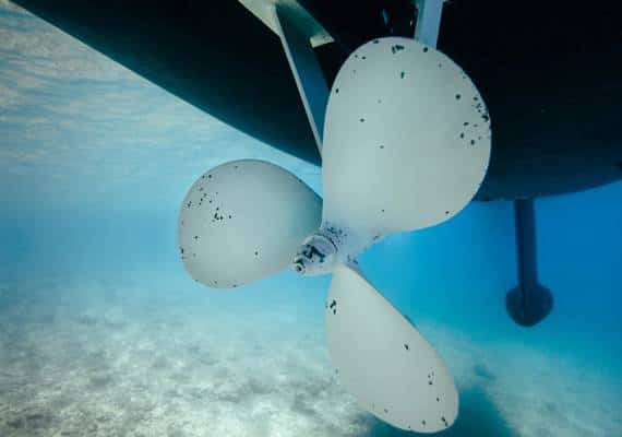 טרגדיה בפלורידה: נער בן 15 נהרג בתאונה ימית