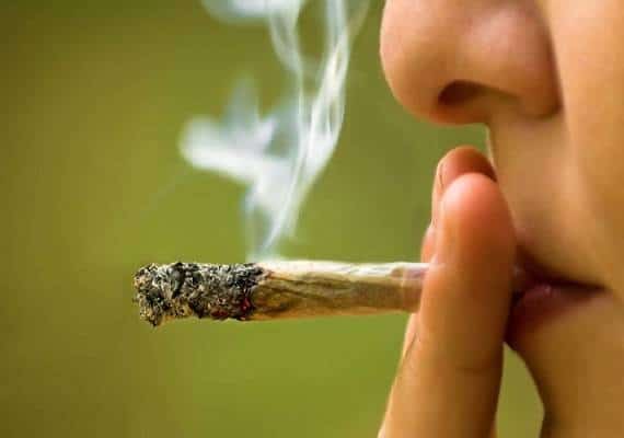 נבאדה: שוק המריחואנה הכניס למדינה 69 מיליון דולר במיסים - בשנה אחת בלבד