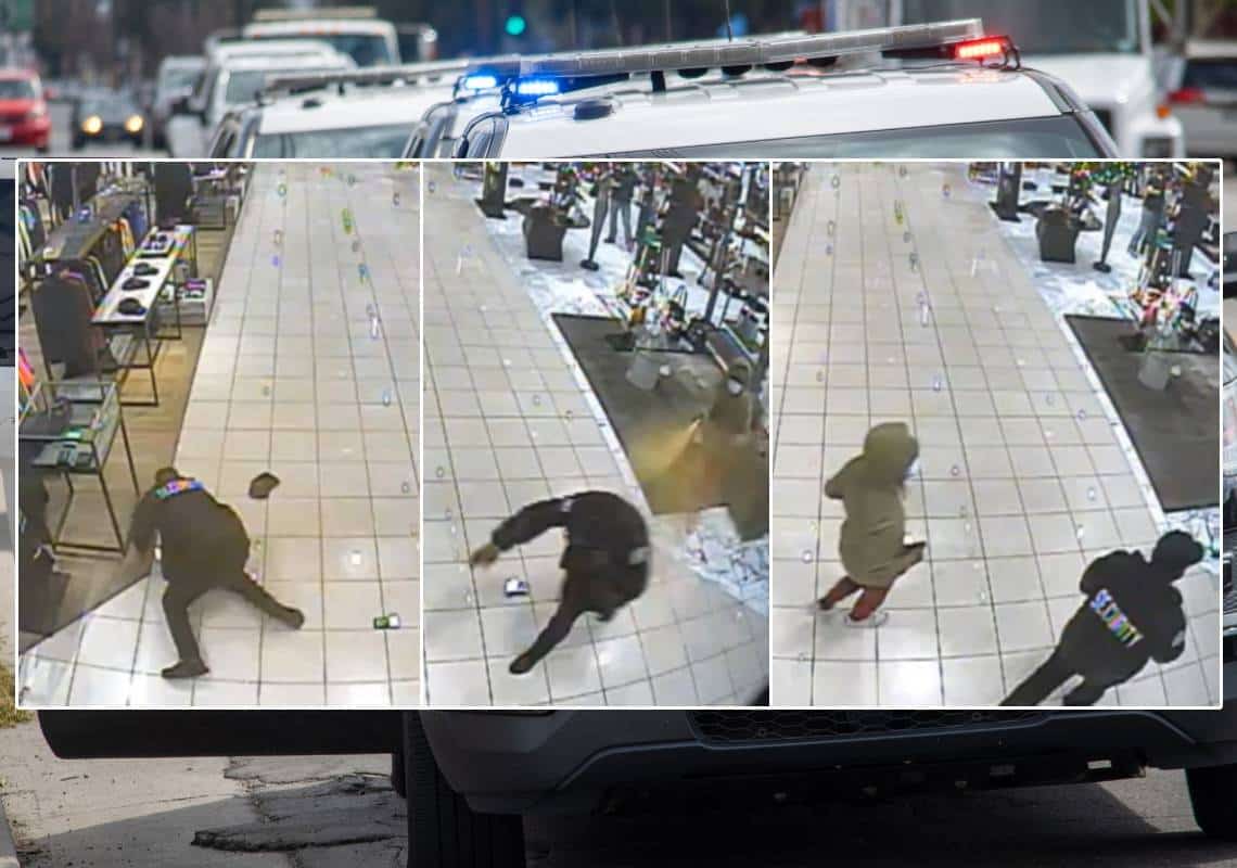 תיעוד חדש מוואלי לוס אנג'לס: כך הותקף מאבטח במרכז הקניות 'טופנגה קניון'