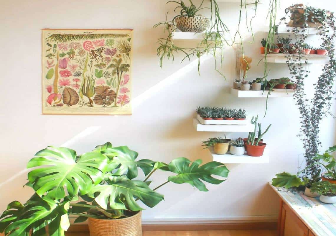 בימים בהם אנו מבלים את רוב הזמן בין ארבע קירות, נראה שזה הזמן המושלם לשדרג את הבית ולהשקיע בטיפוח עציצים 