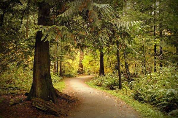 כישלון: הוא אחד מיעדי החופשה אליהם אתם ממש לא רוצים להגיע