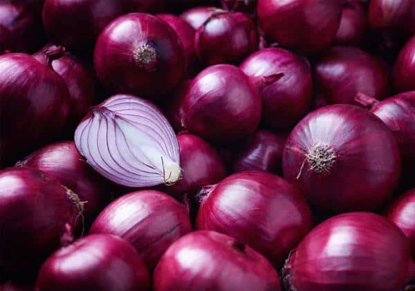 רשויות הבריאות בארה"ב מזהירות: חשד להימצאות חיידק הסלמונלה בבצל