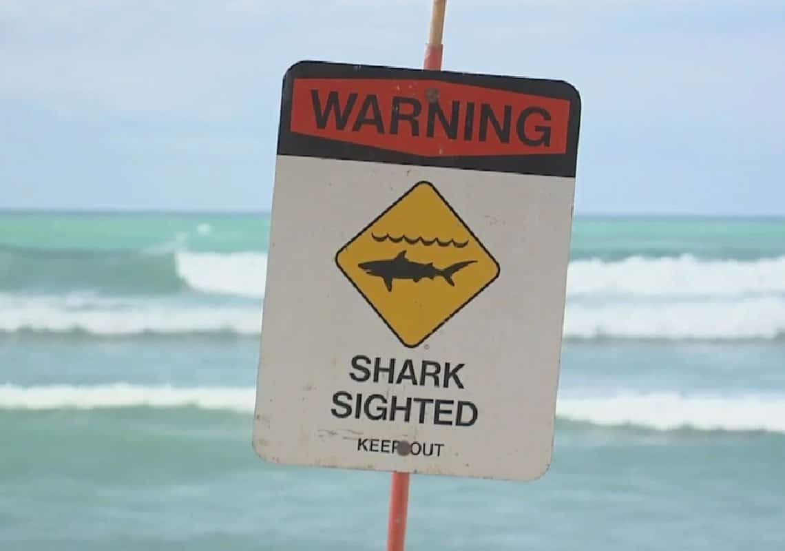 חשד לתקיפת כריש מול חופי הוואי: בת 60 נעדרת