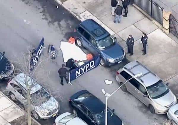 אסון מחוץ לישיבה בברוקלין: אחים בני 4 ו-6 נדרסו ע"י רכב הסעות