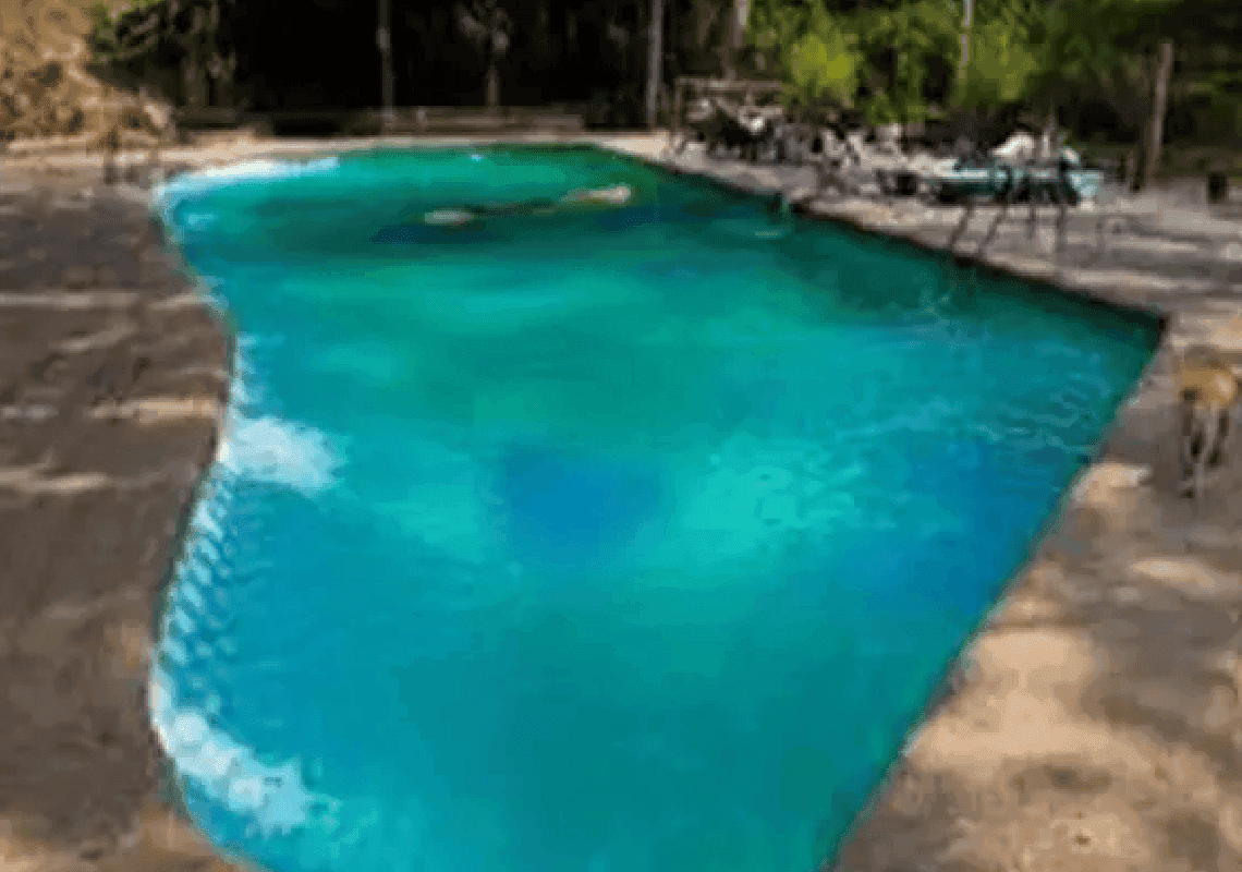 טקסס: אישה שיכורה ניסתה להטביע ילדה פלסטינית בבריכה 