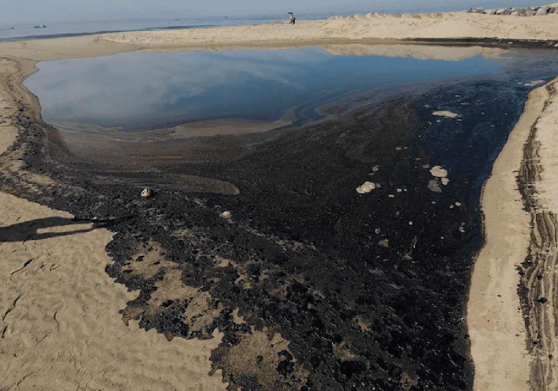 שלושה חודשים לאחר האסון האקולוגי: חופי קליפורניה נוקו מהנפט הגולמי שדלף