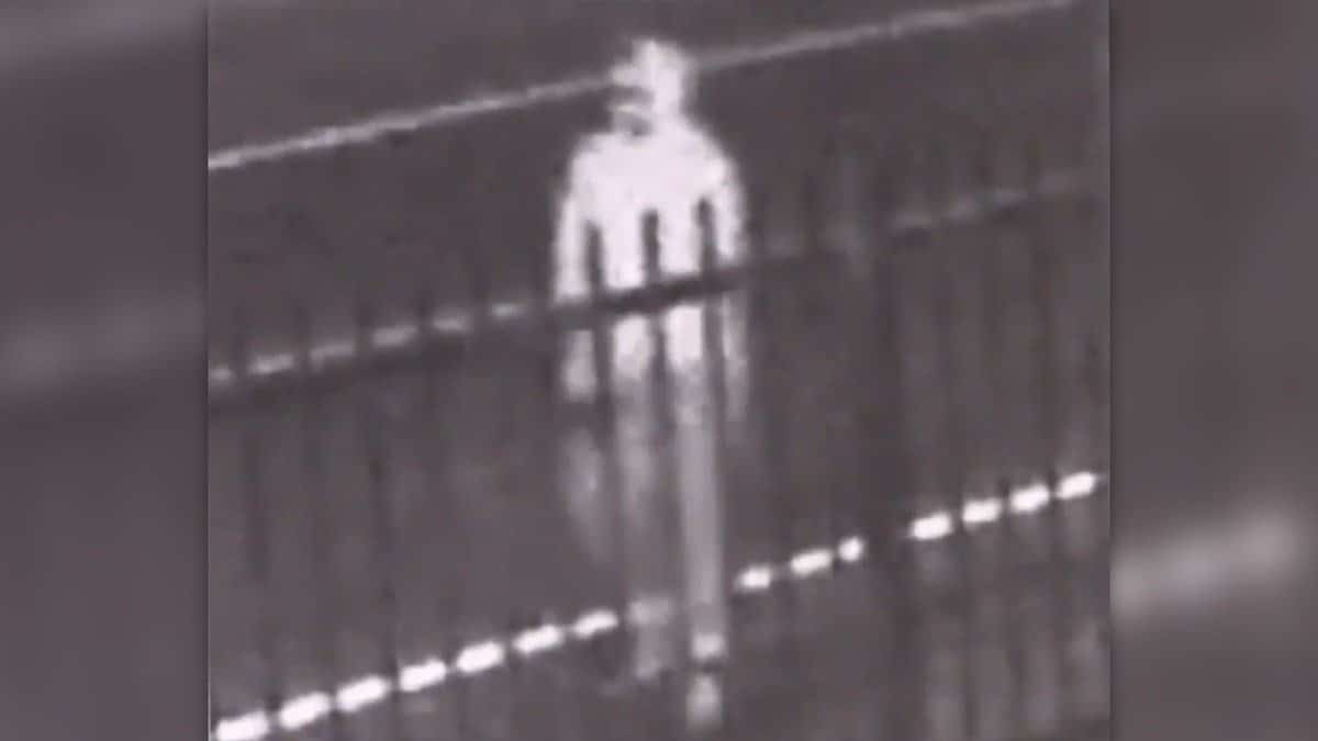 מצוד דרמטי אחר רוצח סדרתי בלוס אנג'לס החשוד במספר מקרי רצח שאירעו השבוע