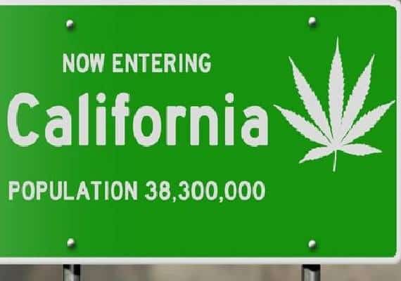 המאבק על פתיחת חנויות הקאנביס: קליפורניה עם הצעת חוק שתשנה את כללי המשחק