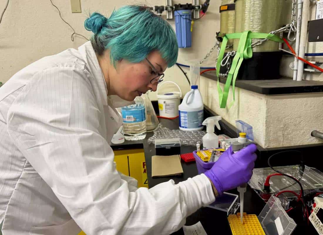 שופטת פדרלית חוסמת את קיצוצי טראמפ במחקר הרפואי: "נזק בלתי הפיך"