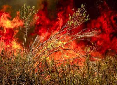 גל החום הקיצוני ביותר של הקיץ מכה בדרום קליפורניה: עד 46 מעלות