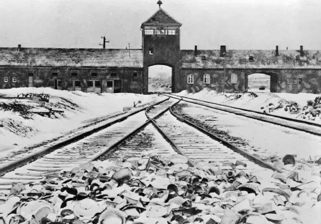 ‏מדהים: ביידן משווה מהגרים בלתי חוקיים ממקסיקו ליהודים שנמלטו מגרמניה הנאצית‏