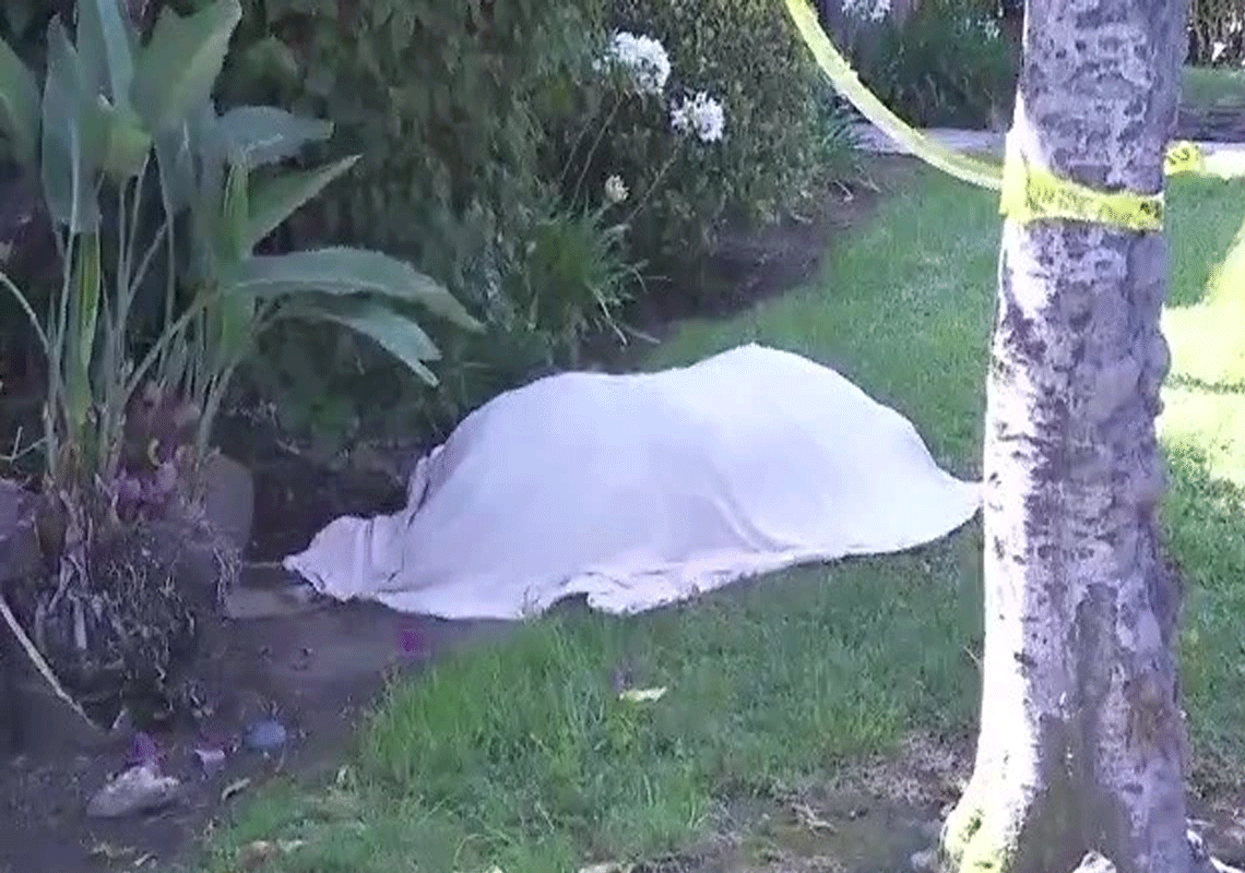 אימה בחצר הבית: תושבת מחוז לוס אנג'לס יצאה לטייל עם הכלב ולא ציפתה למראה שהתגלה מולה