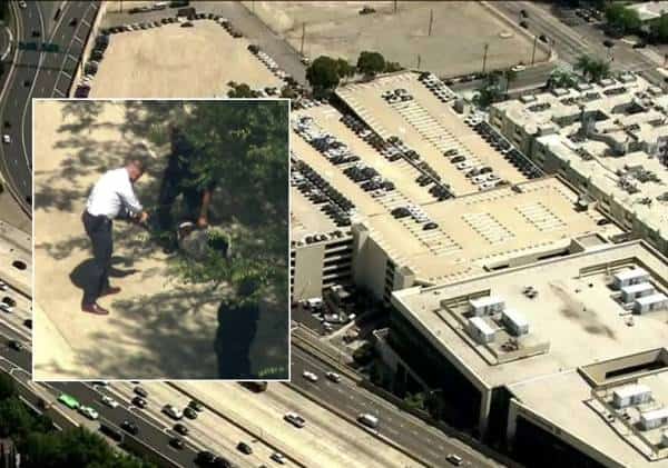 בשיא היום ובסמוך למתחם קניות בלוס אנג'לס: מרדף משטרתי אחר פורצי בתים בשרמן אוקס