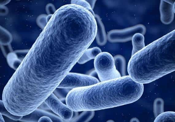 אחת, שתיים, שלוש: שלושה שלבים לאיתור הפרוביוטיקה המתאימה ביותר לסביבה החיידקית הייחודית שלך