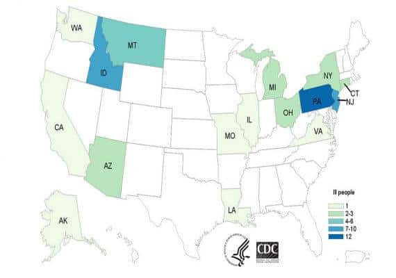 התפרצות האי-קולי מתפשטת: 16 מדינות דיווחו על חולים והרשויות מייעצות לא לצרוך חסת רומיין קצוצה