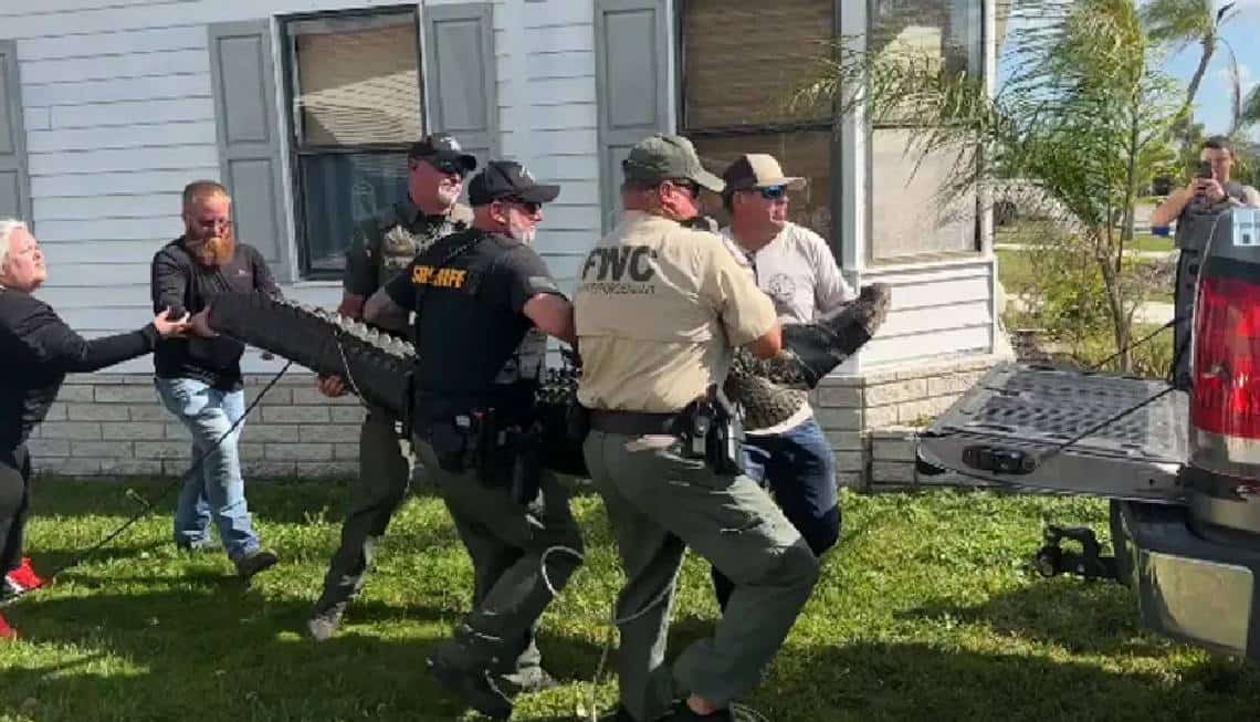 פלורידה: היא נטרפה למוות בידי תנין - עתה משפחתה תובעת את חברת הניהול של קומפלקס המגורים