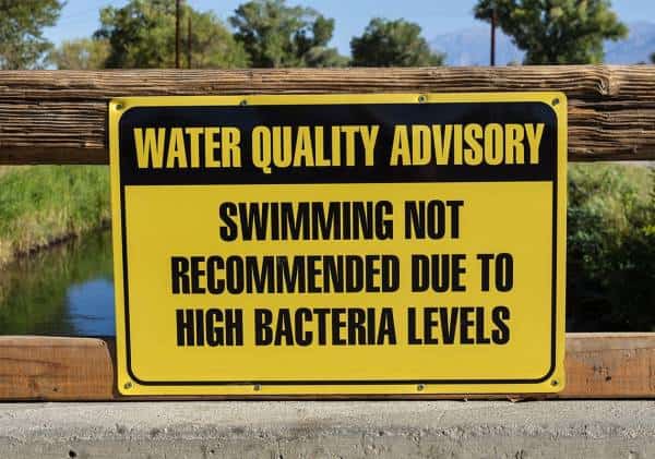 מחקר טוען: "חיידק אלים הגיע לחופי ניו ג'רזי בגלל שינויי האקלים"