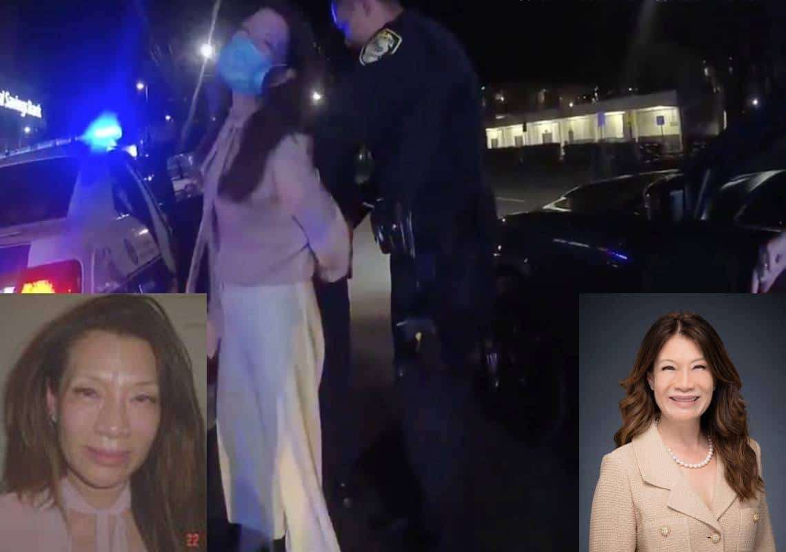 סרטון מביך: המחוקקת שנלחמה להקשיח את חוקי הנהיגה בשכרות, נתפסה במצלמת השוטרים שיכורה ומקללת מאחורי ההגה 