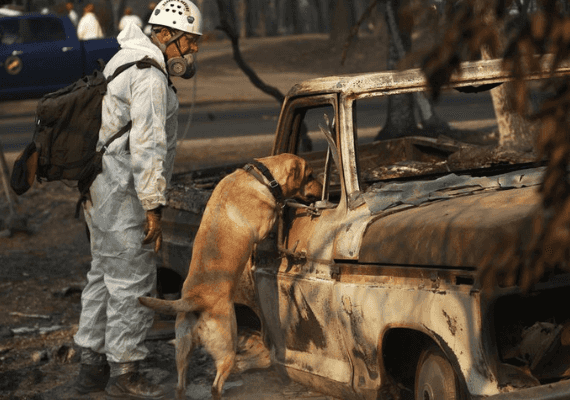 בגלל השריפות וההוריקנים: ארה"ב מובילה את רשימת האסונות היקרים לשנת 2018
