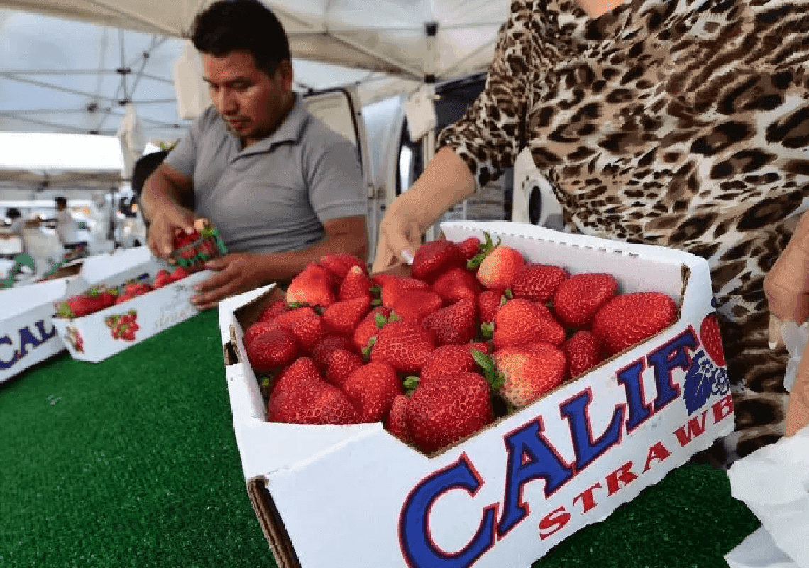 שימו לב: התפרצות צהבת A קשורה לתותים שהופצו ברחבי ארה"ב