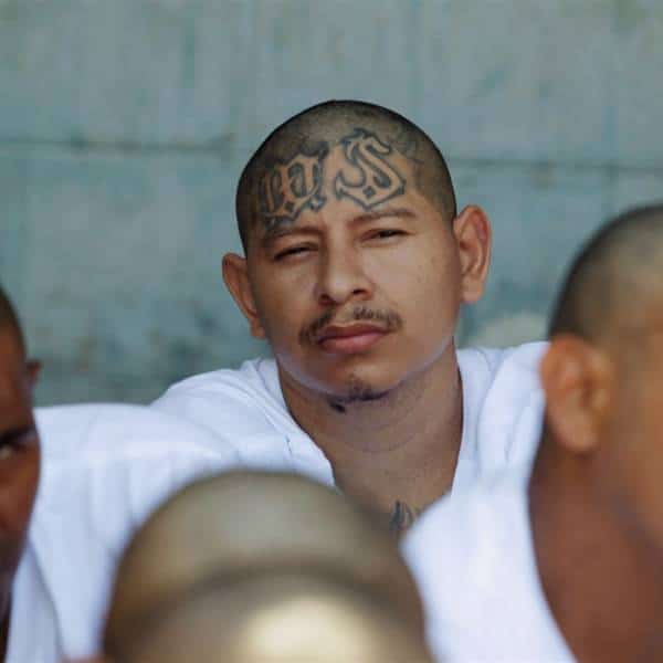 חברי ארגון הפשע MS-13 שואפים לפגוע בשוטרים שחיים בלונג איילנד