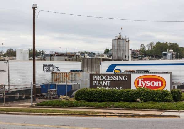 ענקית הבשר האמריקאית מזהירה: "שרשרת אספקת המזון קורסת"