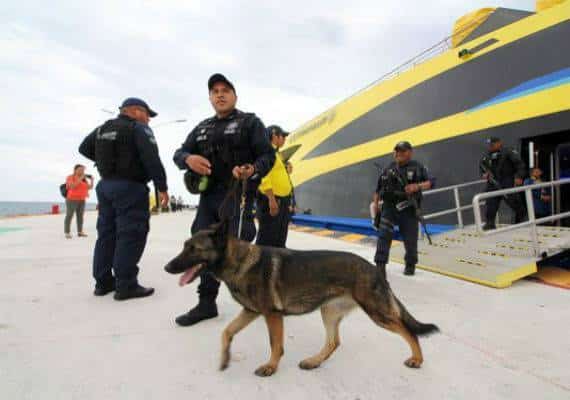תחת איום: ענף התיירות של מקסיקו נפגע מהאלימות בקנקון, בלוס קאבוס ובמקומות נוספים