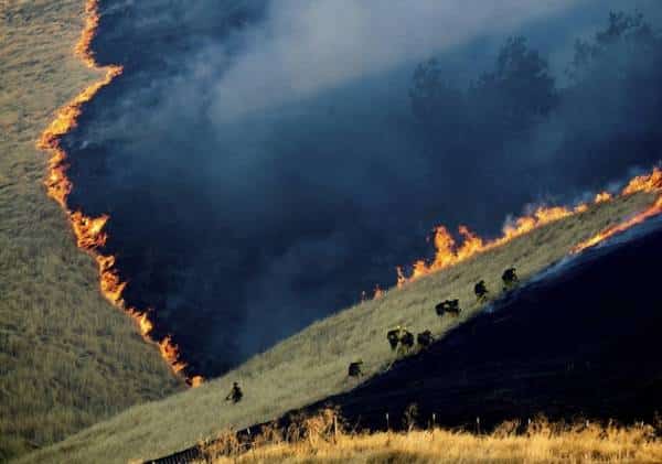 אופטימיות זהירה בקליפורניה בעקבות ירידה משמעותית בנזקי השריפות