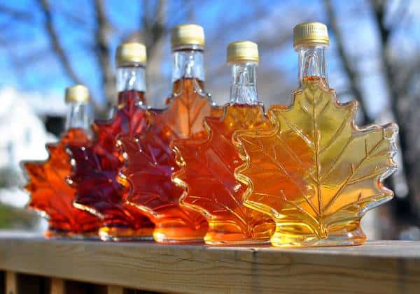 ראיתם פעם פנקייק מקומט? החוקרים מצאו שתמצית מייפל יכולה למנוע קמטים