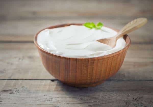 בזבוז של כסף? מחקר חדש טוען שיוגורט פרוביוטי לא מועיל לבריאות 