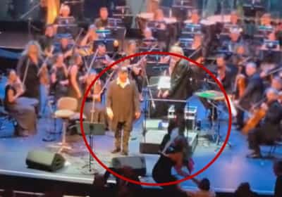 הזמר דוד דאור הותקף על ידי אקטיביסטית אנטישמית: "כתמי הדם החזירו אותי לזוועות ה-7 באוקטובר"