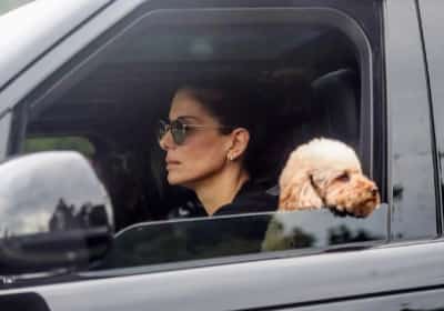 החיים בצל האובדן: סנדרה בולוק תועדה בלוס אנג'לס אחרי כמעט שנה מתחת לרדאר