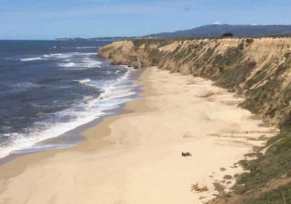 סן פרנסיסקו: הצלה הירואית של ילדים מטביעה הסתיימה בטרגדיה
