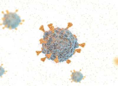 זן קורונה חדש ומדבק במיוחד מתפשט בקליפורניה בעת שהממשל מקצץ בחיסונים