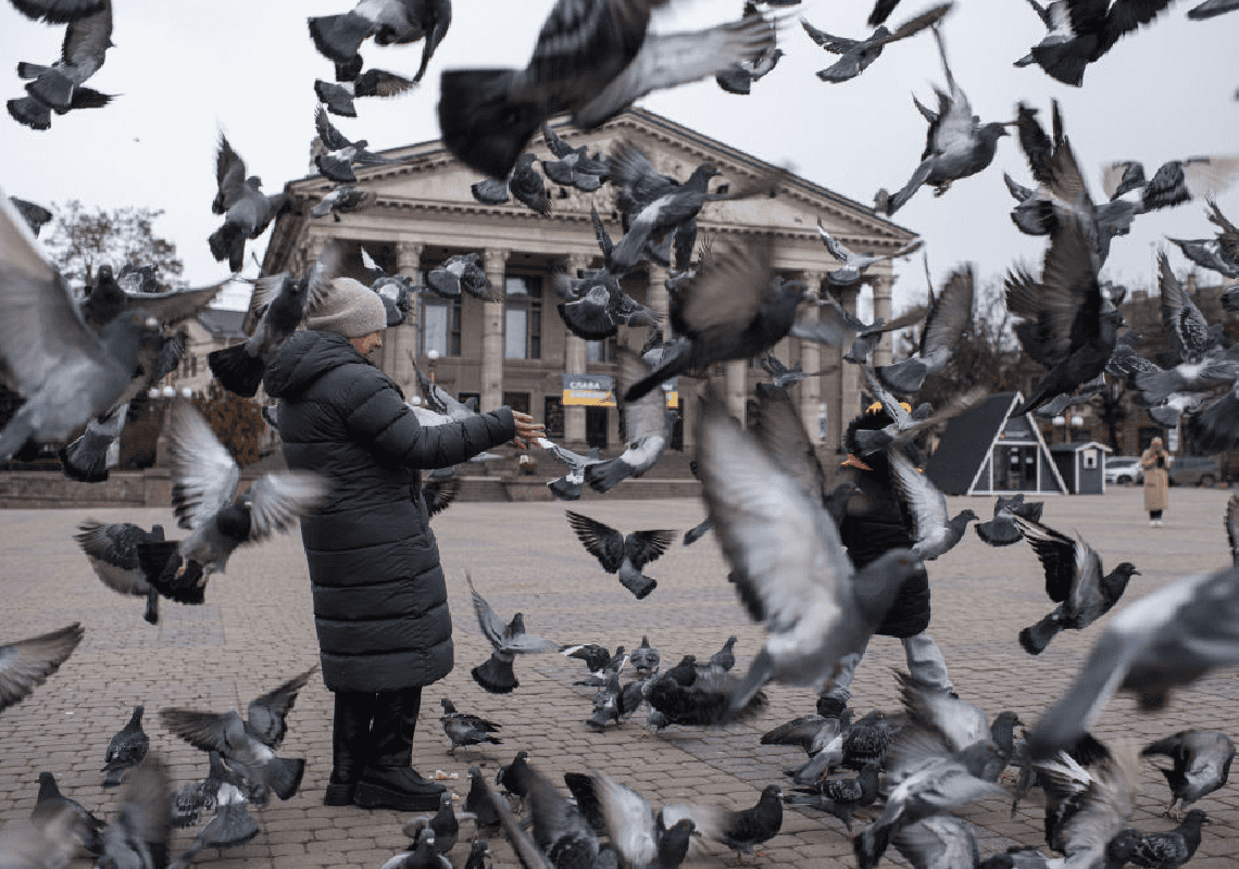 הקרמלין טוען שארה"ב מאמנת ציפורים כדי להפיץ מחלות ברוסיה - עד כמה זה מופרך?